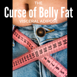 Curse of Belly Fat (1)